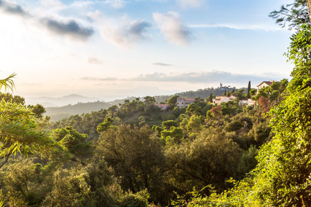 Panoramic view of Barcelona in a summer day in Spainのeditorial素材