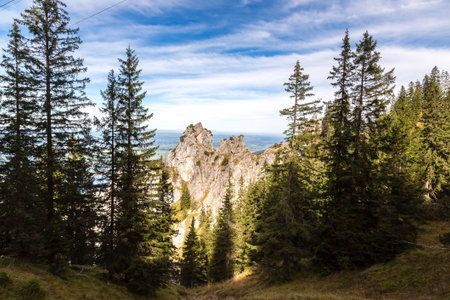 Alps and lakes in a summer day in Germany.  の写真素材