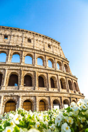 Colosseum in a summer day in Rome, Italyの写真素材