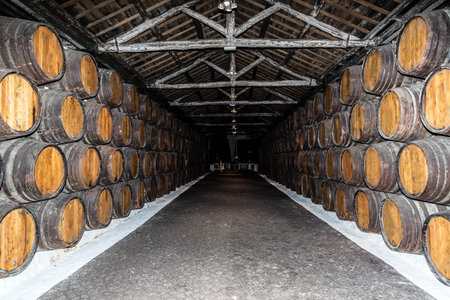 Barrels in the wine cellar in Porto in Portugal