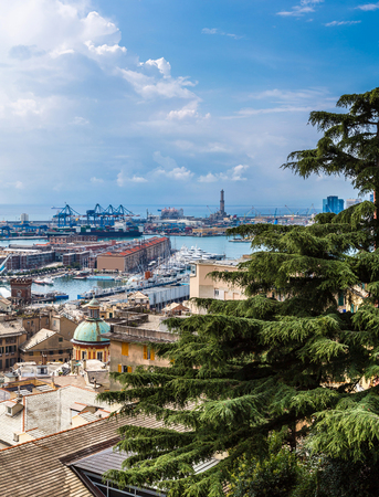 Panoramic view port of Genoa in a summer day, Italyのeditorial素材
