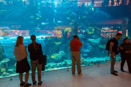 DUBAI, UAE - DECEMBER 5: Aquarium in Dubai Mall - world's largest shopping mall, UAE. December 5, 2015 in Dubai, United Arab Emiratesのeditorial素材