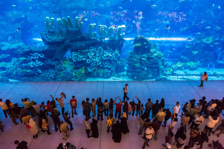 DUBAI, UAE - DECEMBER 5: Aquarium in Dubai Mall - world's largest shopping mall, UAE. December 5, 2015 in Dubai, United Arab Emiratesのeditorial素材