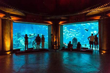 DUBAI, UAE - DECEMBER 5: Large aquarium in Hotel Atlantis in Dubai, UAE. December 5, 2015 in Dubai, United Arab Emiratesのeditorial素材