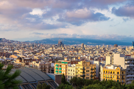 Panoramic view of Barcelona from Park Guell in a summer day in Spain