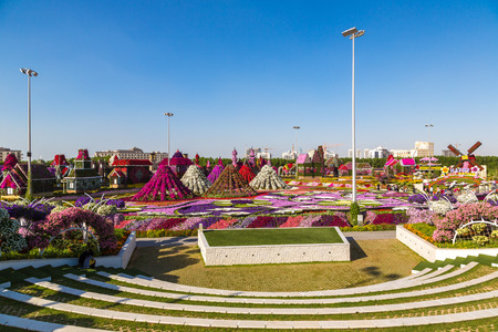 DUBAI, UAE - NOVEMBER 24 : Dubai miracle garden with over 45 million flowers in a sunny day on November 24, 2015, United Arab Emiratesのeditorial素材
