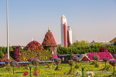 DUBAI, UAE - NOVEMBER 24 : Dubai miracle garden with over 45 million flowers in a sunny day on November 24, 2015, United Arab Emiratesのeditorial素材