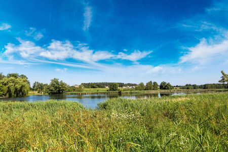 Calm pond and water plants in a beautiful summer dayの写真素材