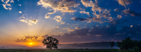 Beautiful sunrise over green field and single tree in a summer morningの写真素材