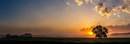 Beautiful sunrise over green field and single tree in a summer morningの写真素材