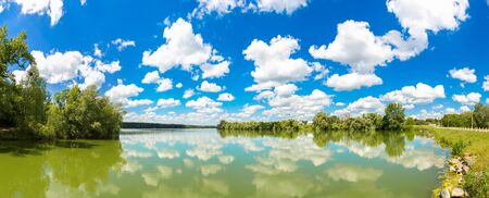 Calm pond and water plants in a beautiful summer dayのeditorial素材