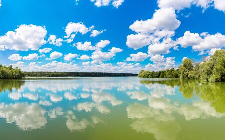Calm pond and water plants in a beautiful summer dayの写真素材