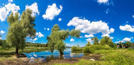Calm pond and water plants in a beautiful summer dayの写真素材