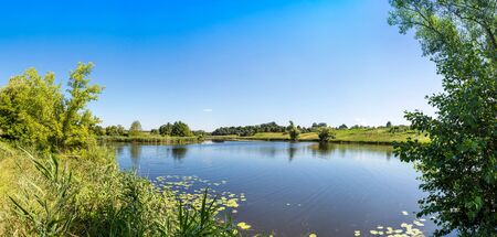 Calm pond and water plants in a beautiful summer dayの写真素材