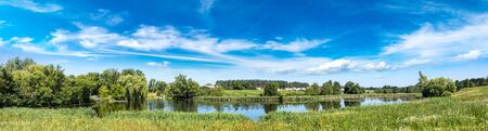 Calm pond and water plants in a beautiful summer dayの写真素材