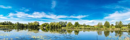 Calm pond and water plants in a beautiful summer dayの写真素材