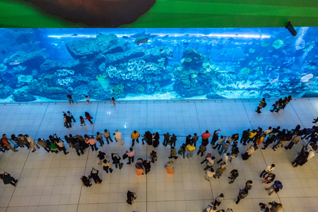 DUBAI, UAE - DECEMBER 5: Aquarium in Dubai Mall - world's largest shopping mall, UAE. December 5, 2015 in Dubai, United Arab Emiratesのeditorial素材