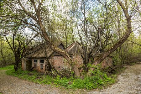 Abandoned village in Chernobyl, Ukraine in a summer dayの写真素材