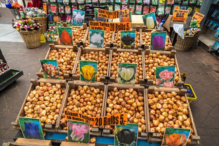 AMSTERDAM, THE NETHERLANDS - JUNE 16, 2016: Flower market in Amsterdam in a beautiful summer 

day, The Netherlands on June 16, 2016のeditorial素材