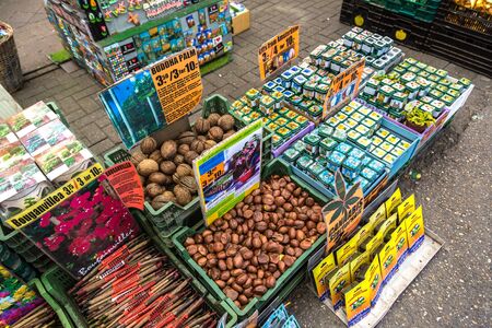 AMSTERDAM, THE NETHERLANDS - JUNE 16, 2016: Flower market in Amsterdam in a beautiful summer 

day, The Netherlands on June 16, 2016のeditorial素材
