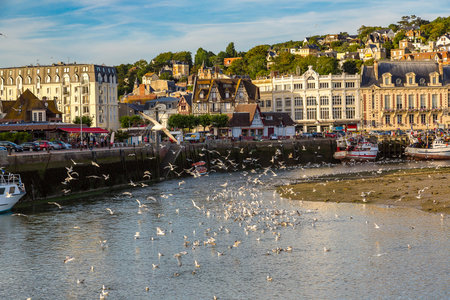Trouville and Touques river and a lot of seagull in a beautiful summer day, France