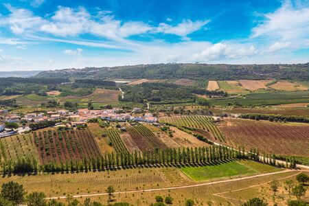 Panoramic aerial view over farmed fields, harvest season in a beautiful summer day, Portugalの写真素材