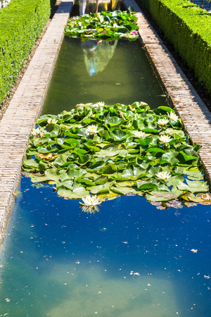 Gardens and fountains in Alhambra palace in Granada in a beautiful summer day, Spainのeditorial素材