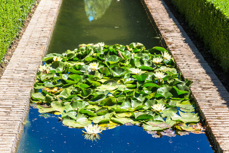 Gardens and fountains in Alhambra palace in Granada in a beautiful summer day, Spainのeditorial素材