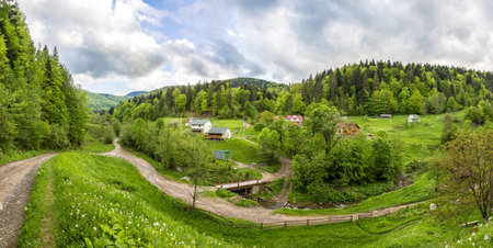 Panorama of Carpathians mountain forest in a beautiful summer day, Ukraine
