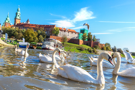 Wawel castle in Krakow in a summer day, Polandのeditorial素材