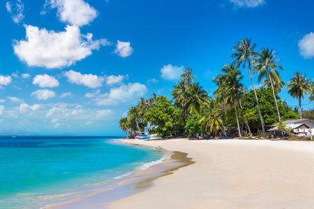 Tropical beach with palm trees on Koh Samui island, Thailand in a summer day