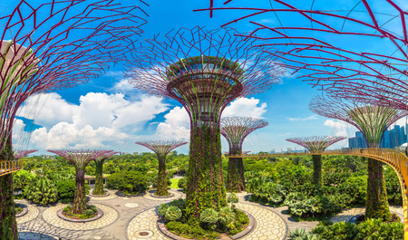 SINGAPORE - JUNE 23, 2018: Panorama of The Supertree Grove at Gardens by the Bay in Singapore near Marina Bay Sands hotel at summer dayのeditorial素材