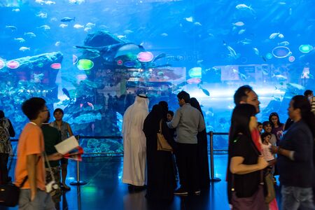 DUBAI, UAE - NOVEMBER 14, 2012:  Aquarium in Dubai Mall  in Dubai, United Arab Emiratesのeditorial素材