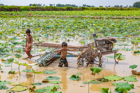 SIEM REAP, CAMBODIA - JUNE 11, 2018: Two Boys on lotus field at Lotus farm near Siem Reap, Cambodia in a summer dayのeditorial素材