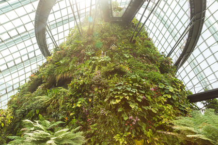 SINGAPORE - JUNE 23, 2018: Conservatory Cloud Forest Dome in Singapore at summer dayのeditorial素材