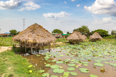 SIEM REAP, CAMBODIA - JUNE 11, 2018: Lotus farm near Siem Reap, Cambodia in a summer dayのeditorial素材