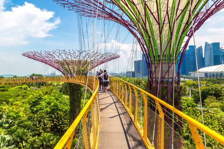 SINGAPORE - JUNE 23, 2018: Walkway at The Supertree Grove at Gardens by the Bay in Singapore near Marina Bay Sands hotel at summer nightのeditorial素材