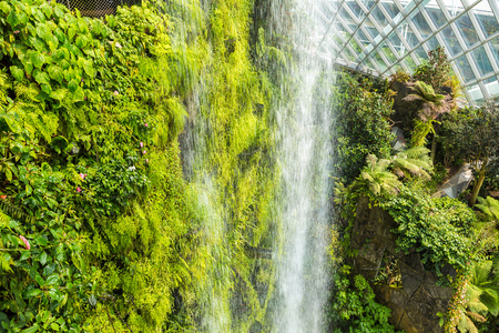 SINGAPORE - JUNE 23, 2018: Waterfall in the Conservatory Cloud Forest Dome in Singapore at summer dayのeditorial素材