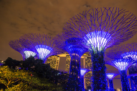 SINGAPORE - JUNE 23, 2018: The Supertree Grove at Gardens by the Bay in Singapore near Marina Bay Sands hotel at summer nightのeditorial素材