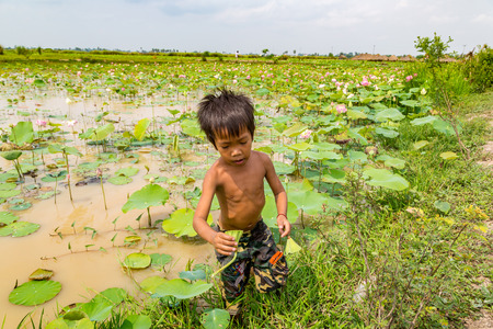 SIEM REAP, CAMBODIA - JUNE 11, 2018: Boy on lotus field at Lotus farm near Siem Reap, Cambodia in a summer dayのeditorial素材
