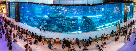 DUBAI, UAE - JUNE 26, 2018: Panorama of Aquarium in Dubai Mall - world's largest shopping mall in Dubai, United Arab Emiratesのeditorial素材