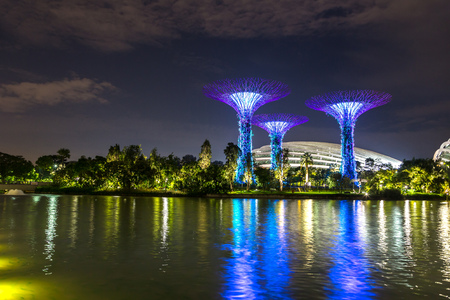 SINGAPORE - JUNE 23, 2018: The Supertree Grove at Gardens by the Bay and Greenhouse in Singapore near Marina Bay Sands hotel at summer nightのeditorial素材