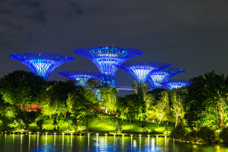 SINGAPORE - JUNE 23, 2018: The Supertree Grove at Gardens by the Bay in Singapore near Marina Bay Sands hotel at summer nightのeditorial素材