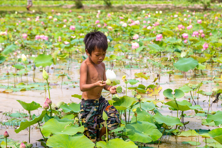 SIEM REAP, CAMBODIA - JUNE 11, 2018: Boy on lotus field at Lotus farm near Siem Reap, Cambodia in a summer dayのeditorial素材