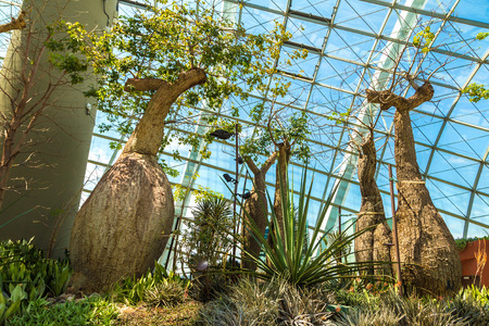 SINGAPORE - JUNE 23, 2018: Conservatory Flower Dome in Singapore at summer dayのeditorial素材