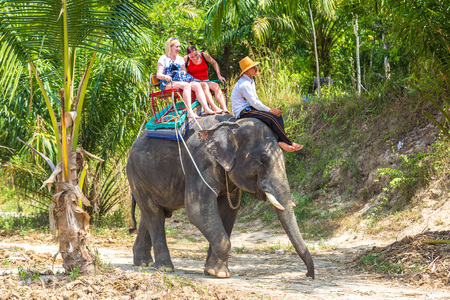 SURAT THANI, THAILAND - MARCH 25, 2018: Tourists riding elephant trough jungle in Thailand in a summer dayのeditorial素材