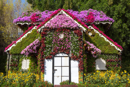DUBAI, UNITED ARAB EMIRATES - JANUARY 31, 2020: Dubai miracle garden in a sunny day , United Arab Emiratesのeditorial素材