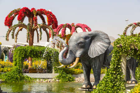 DUBAI, UNITED ARAB EMIRATES - JANUARY 31, 2020: Dubai miracle garden in a sunny day , United Arab Emiratesのeditorial素材