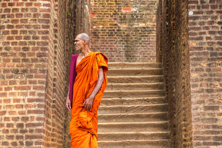 SIGIRIYA, SRI LANKA - FEBRUARY 15, 2020: Buddhist monk at The Lions Paw Rock entrance at Sigiriya...