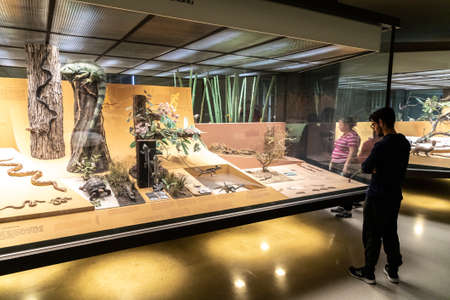 NEW YORK CITY, USA - MARCH 29, 2020: Interior of American Museum of Natural History in New York City, NY, USAのeditorial素材